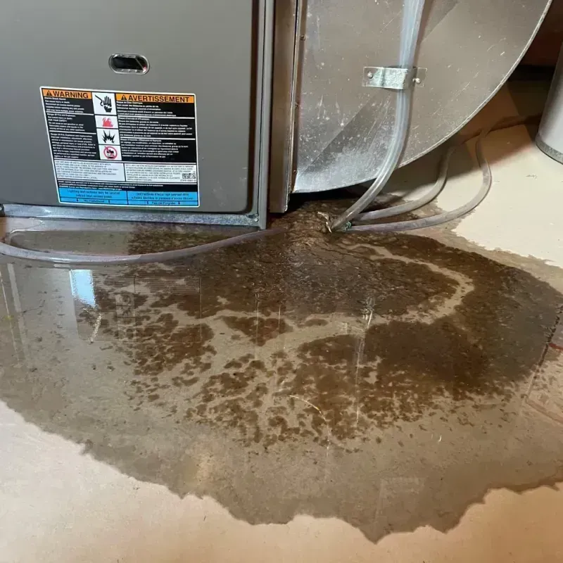 Appliance Leak Cleanup in Fords, NJ